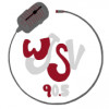 WJSV 90.5 FM