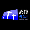 WSEB 91.3 FM