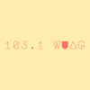 103.1 WUAG