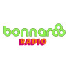 Bonnaroo Radio
