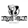 Radio Cobra Detroit