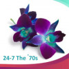 The 70s - 24/7 Niche Radio