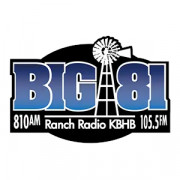 Big 81 logo