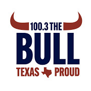 100.3 The Bull logo