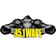 95.1 WAPE logo