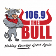 106.9 The Bull logo