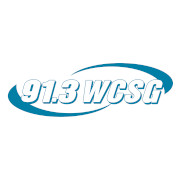 91.3 WCSG logo