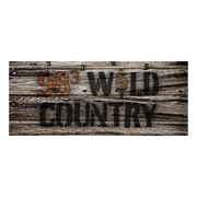 98.3 Wild Country logo
