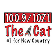 100.9/107.1 The Cat logo