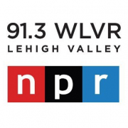 91.3 WLVR logo