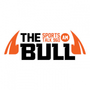 960 The Bull logo