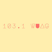 103.1 WUAG logo
