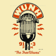 WUNH 91.3 FM logo