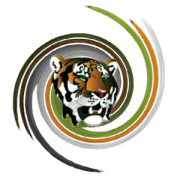 93.3 Tiger FM logo