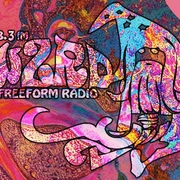 WZRD Chicago 88.3 FM logo