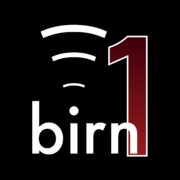 BIRN1 logo